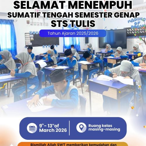 STS TULIS